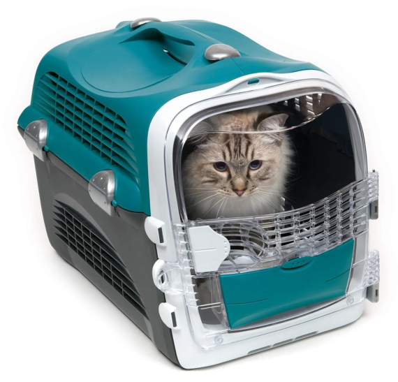 CATIT-CABRIO CABRIO CARRIER - TURQUOISE PCS