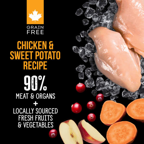 Freeze-Dried Raw Chicken & Sweet Potato Cat Food 227g - Image 8