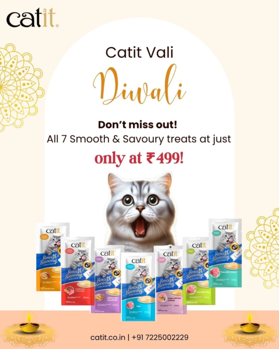 Diwali Snack Fest (Get 7 Flavours Of Smooth And Savoury @499)