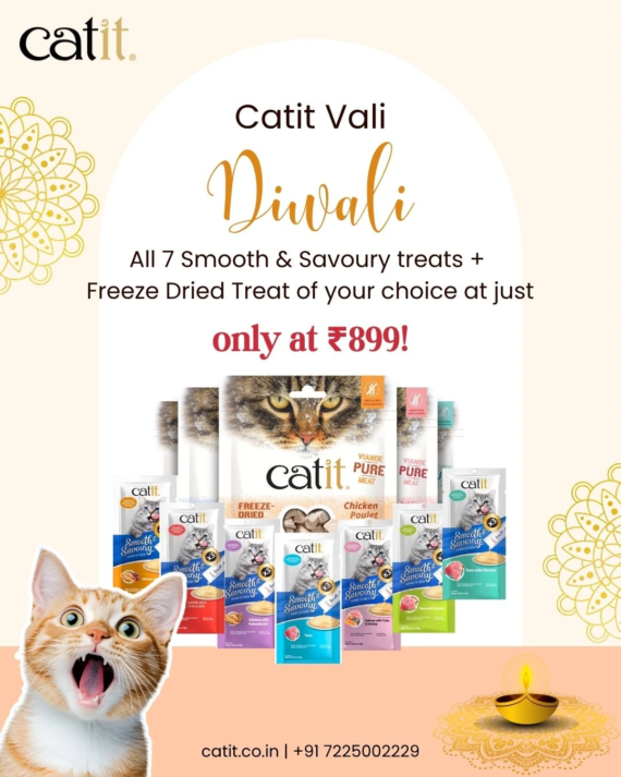 Festive Feast Combo (All 7 Smooth & Savoury flavours + 1 Freeze-Dried treat)