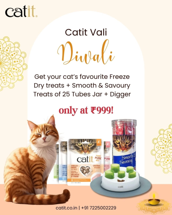 Purrfect Diwali Gift Box (Freeze-Dried & Jar of 25 tubes + Digger @ ₹999)