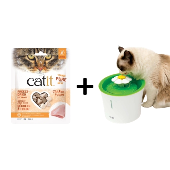Catit Drinking Flower Fountain with FREE Chicken Cat Treats