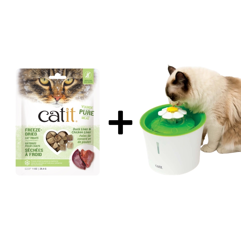 Catit Drinking Flower Fountain with FREE Duck Liver & Chicken Liver Cat Treats