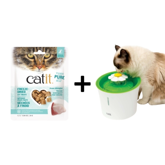 Catit Drinking Flower Fountain with FREE Ocean Whitefish Cat Treats