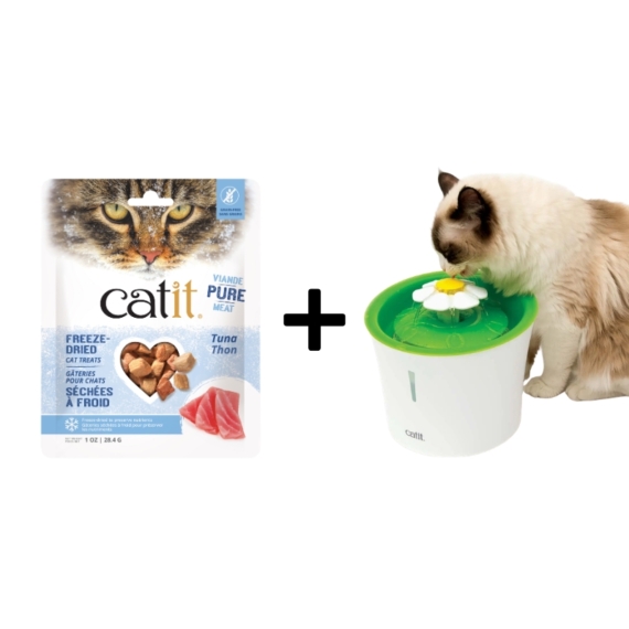 Catit Drinking Flower Fountain with FREE Tuna Cat Treats
