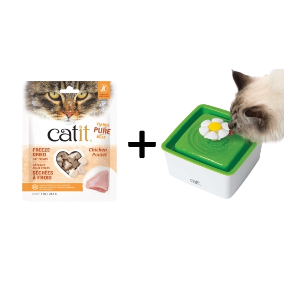 Catit 2.0 Mini Flower Fountain 1.5L with FREE Chicken Cat Treats