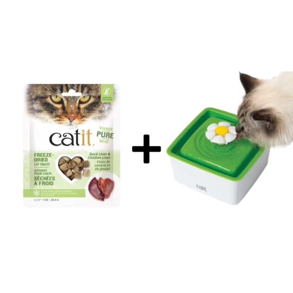 Catit 2.0 Mini Flower Fountain 1.5L with FREE Duck Liver & Chicken Liver Cat Treats