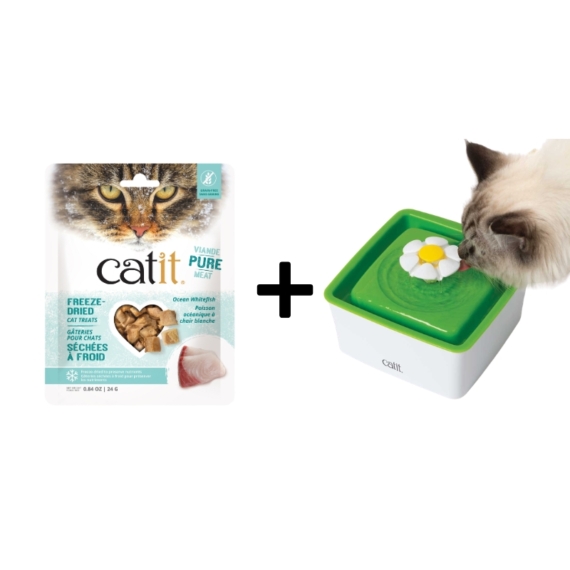 Catit 2.0 Mini Flower Fountain 1.5L with FREE Ocean Whitefish Cat Treats