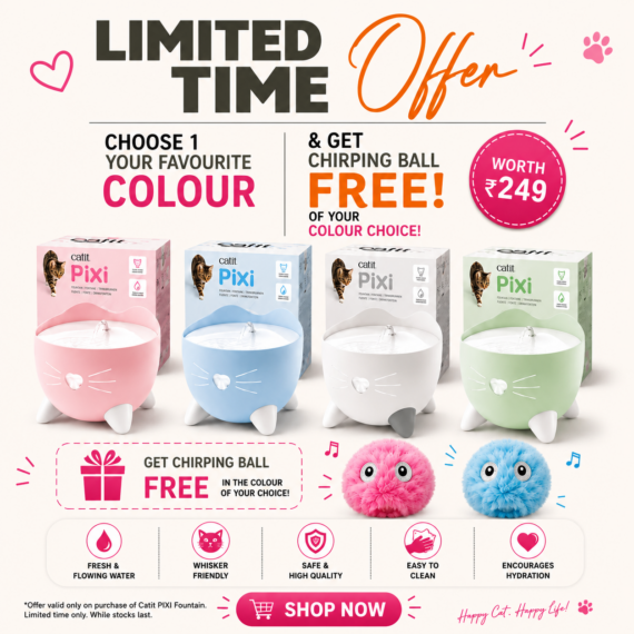 Buy Any Catit PIXI Fountain in Your Favourite Colour & Get 1 FREE Chirping Ball in Your Colour Choice